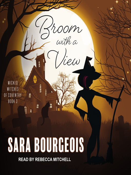 Title details for Broom with a View by Sara Bourgeois - Available